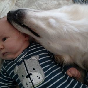 Meet your Posher, Elisha